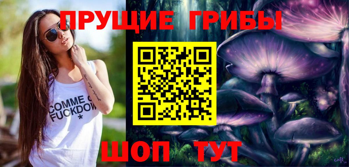 Псилоцибиновые грибы Psilocybe Саров