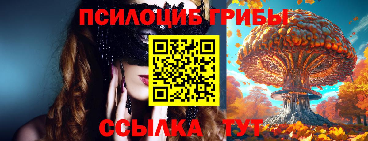 Саров  Псилоцибиновые грибы мицелий  Вход с VPN 